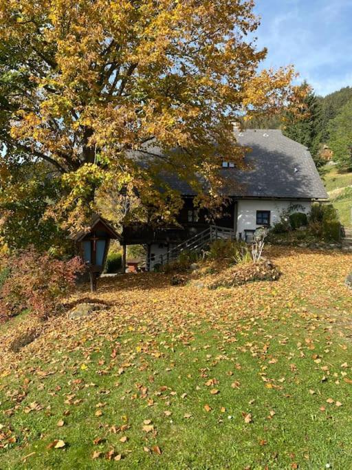 Ferienhaus Almzeit Koralpe Vila Rieding Exterior foto